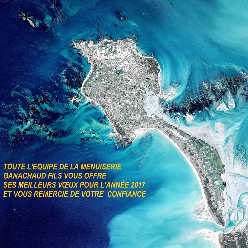 VOEUX 2017